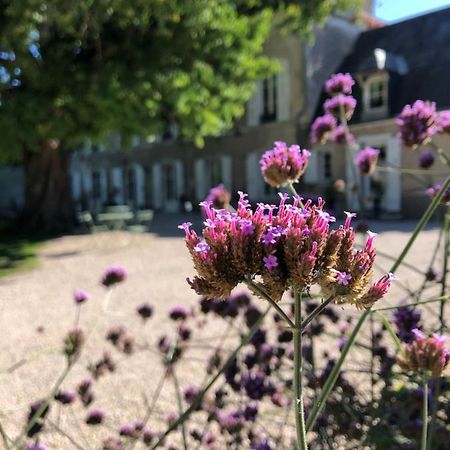 Hotel Domaine Saint-Hilaire Meung-sur-Loire Exterior foto