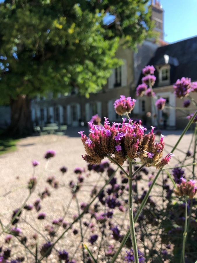 Hotel Domaine Saint-Hilaire Meung-sur-Loire Exterior foto
